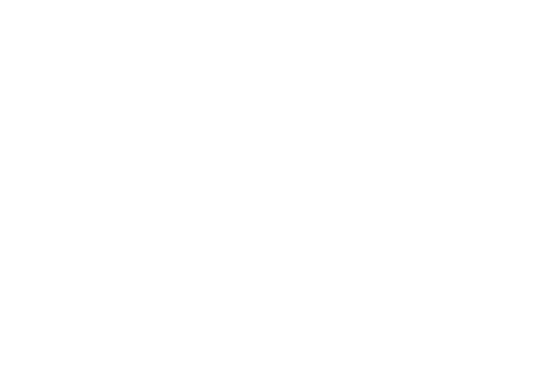 Sub Zero Nitrogen Ice Cream logo